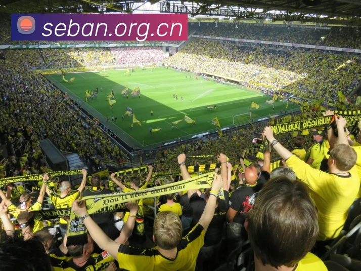 milan米兰官网APP 体育赛事宣传图